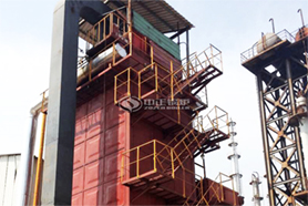 國內最大導熱油鍋爐投入運行！