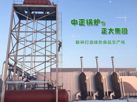 中正燃氣導熱油鍋爐全力助陣正大集團打造綠色食品生產線