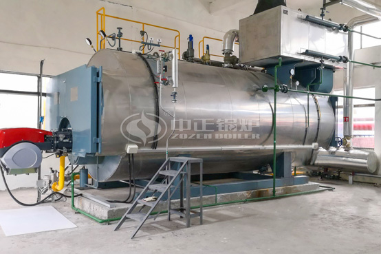 8噸WNS系列冷凝式燃?xì)庹羝仩t項目