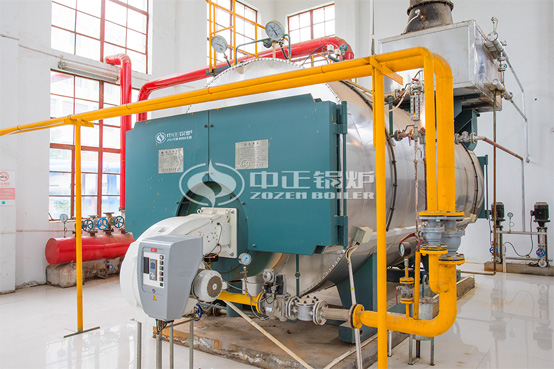 6噸WNS系列冷凝式燃?xì)庹羝仩t項目